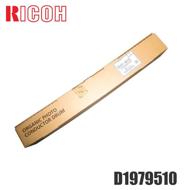 Drum opc Ricoh D1979510 original Negro